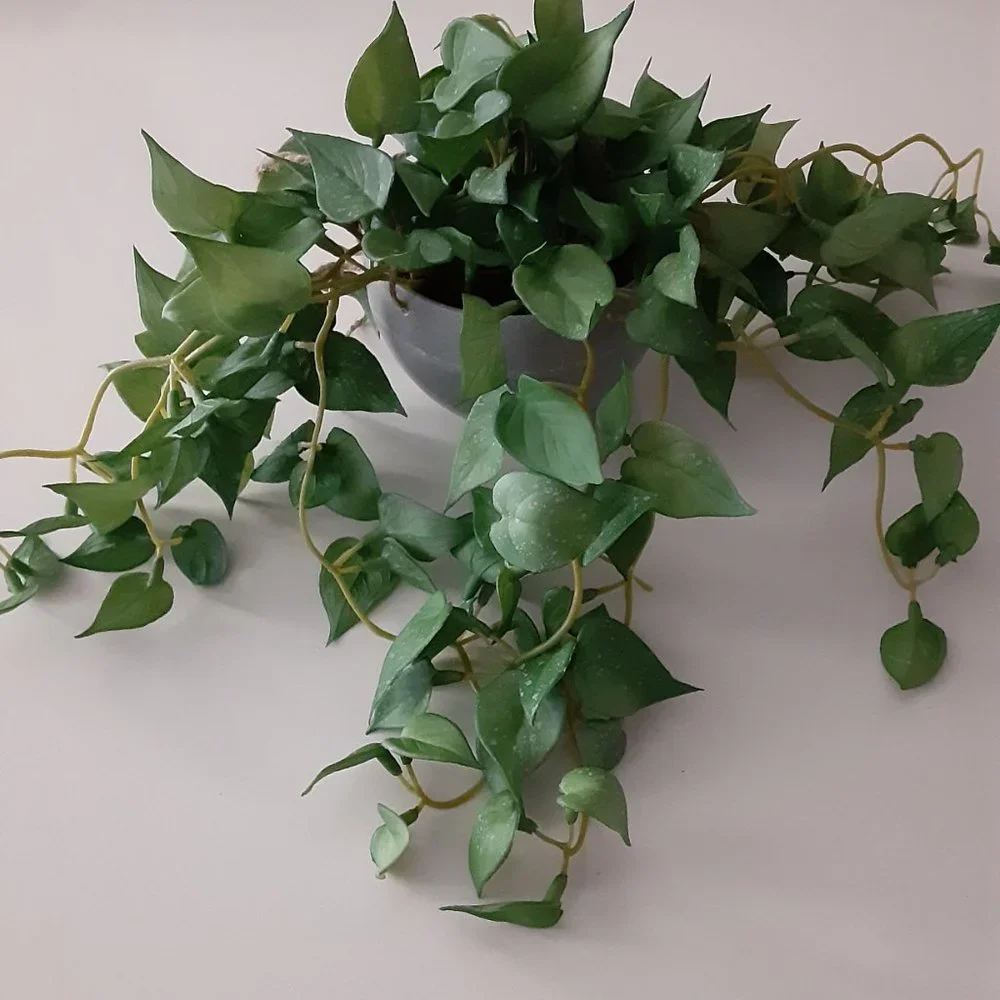 Faux Plant - set of two - NWOT